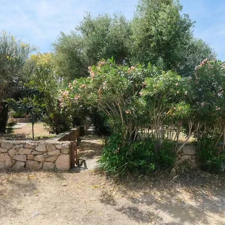 아파트 Meravigliosa Vista Mare A Tanaunella -